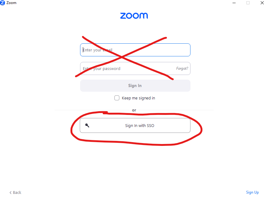 Zoom on a PC